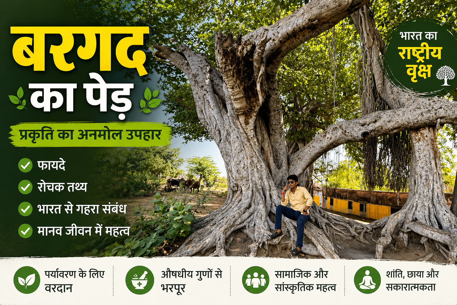 🌳 बरगद का पेड़: लाभ, रोचक तथ्य और भारत से इसका गहरा संबंध